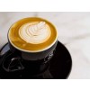 coffee leaf - Uncategorized - 