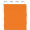 color russet orange - Items - 