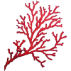 coral - Natural - 