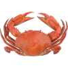 crab - Animais - 