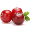 cranberries - Uncategorized - 