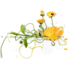 Cvijet Plants Yellow - Rastline - 