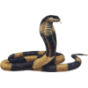 egypian cobra - Животные - 