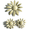 daisies - Uncategorized - 