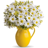 daisies in yellow vase png - Rastline - 
