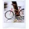 bicikl - Meine Fotos - 