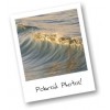 polaroid - 相册 - 