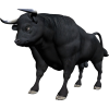 bull - Животные - 