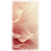 decoração - 插图 - 