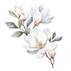 decoração - Illustraciones - 