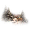 deer - 動物 - 