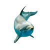 delfin - 動物 - 