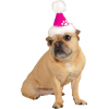 dog with party hat - Animais - $8.50  ~ 7.30€