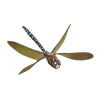dragonfly - Živali - 