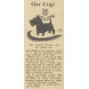 early 20th cen scottie dog article - Tekstovi - 