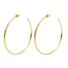 earrings - Brincos - 