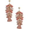 earrings - Brincos - 