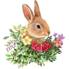 easter - Items - 