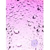 Purple Rain - My photos - 