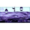 Purple Raindrops - Moje fotografie - 