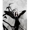 Gothic Girl With Craw Wings - Mie foto - 
