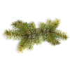 evergreen bough - Items - 