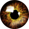 eye - Figure - 