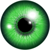eye - Figure - 