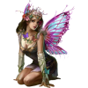 fairy - People - 