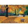 fall - Background - 