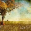 fall - Background - 