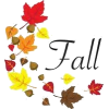 fall - Besedila - 