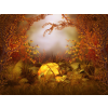 fall/autumn - Природа - 