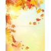 fall background - 背景 - 