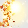 fall background - Ozadje - 