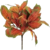 fall leaf - Rośliny - 