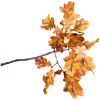 fall leaves - 饰品 - 