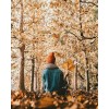 fall leaves - My photos - 