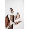 fall leaves - Мои фотографии - 