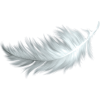 feather - Przedmioty - 