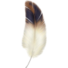 feather - Przedmioty - 