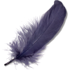 feather - 自然 - 