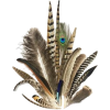 feathers - Natural - 