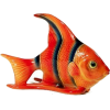 fish - 动物 - 