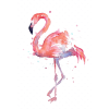 flamingo - 動物 - 