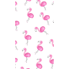 flamingo - Illustrations - 