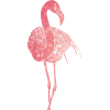 flamingo - Ilustracje - 