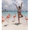 flamingo - Mis fotografías - 