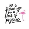 flamingo - My photos - 