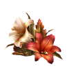 fleur blucinzia - Other - 